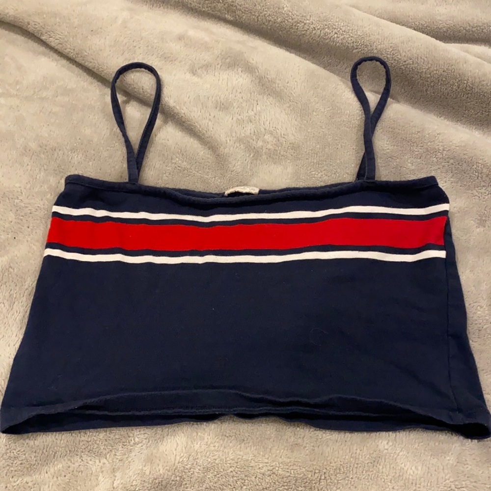 Brandy Melville Crop Top